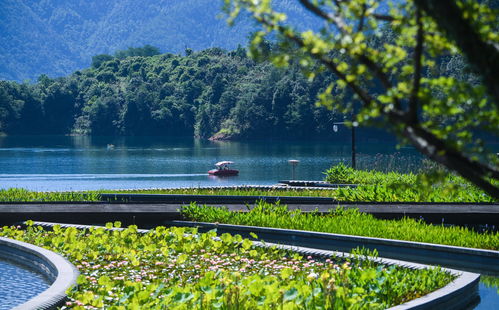 緣分跑過山 200到300，湖亂跑的報(bào)名費(fèi)究竟觸動(dòng)了誰的神經(jīng)